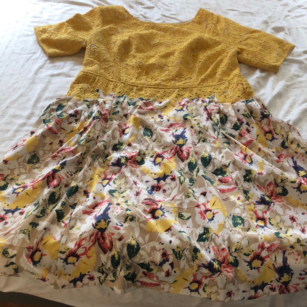 Lace and Floral Retro Fit and Flare Dress.